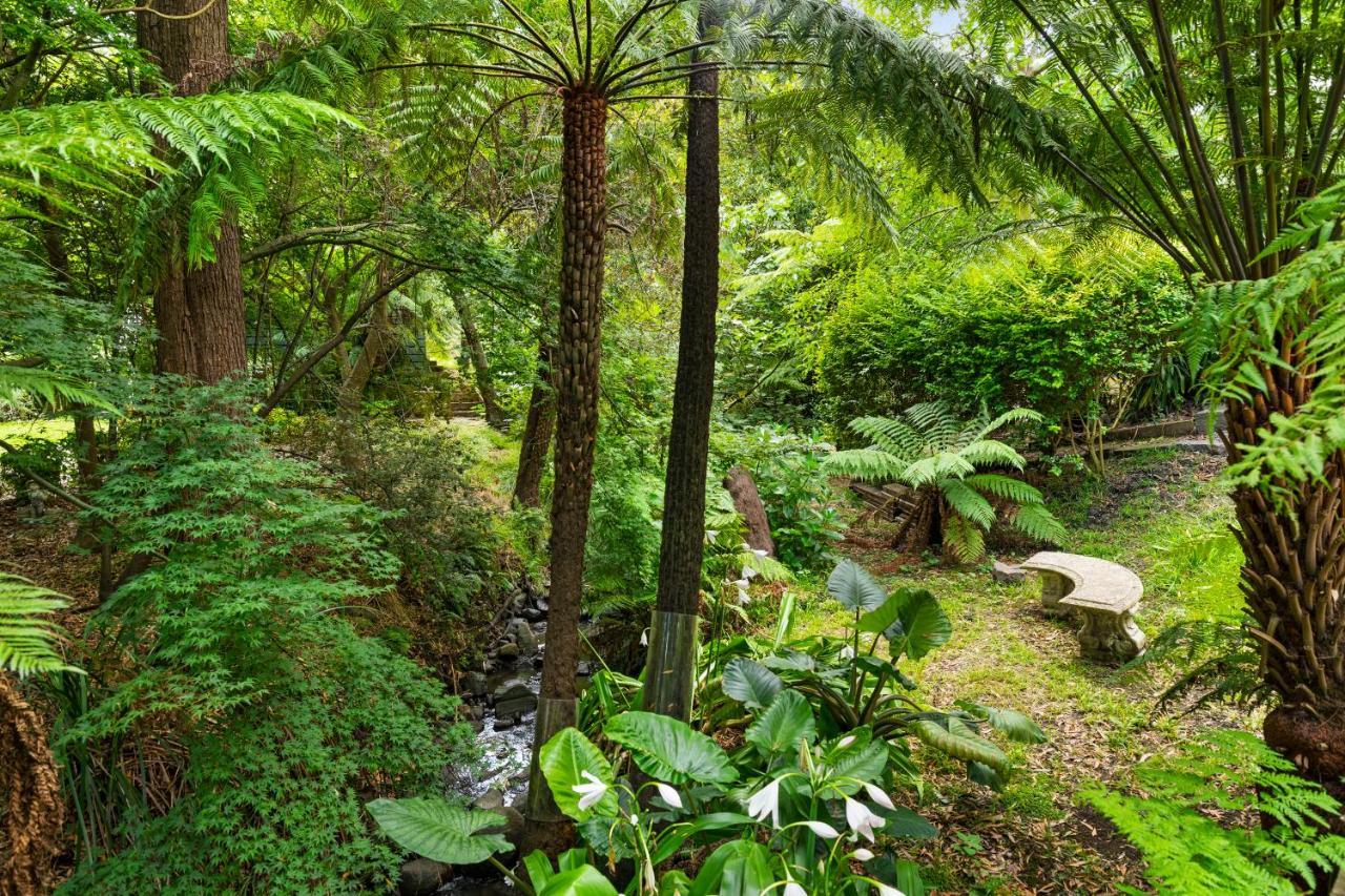 Paddys Creek Retreat Βίλα Upwey Εξωτερικό φωτογραφία
