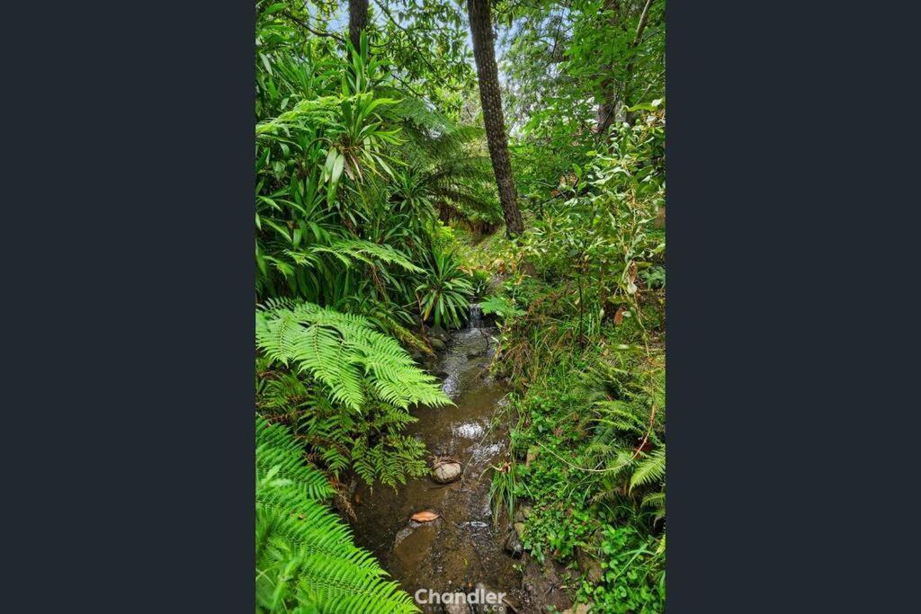 Paddys Creek Retreat Βίλα Upwey Εξωτερικό φωτογραφία